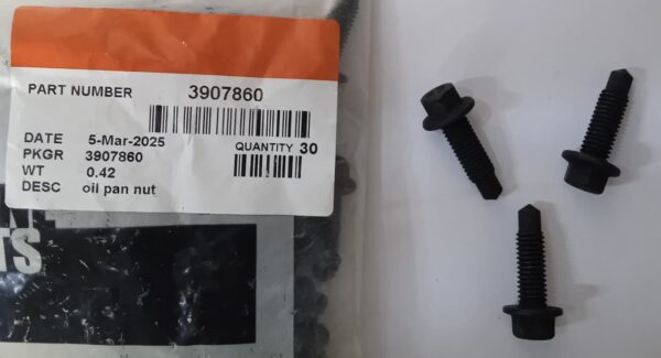 3907860 OIL PAN NUT   CUMMINS