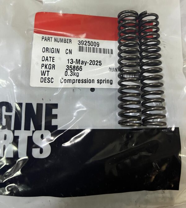 3925009 COMPRESSION SPRING   CUMMINS