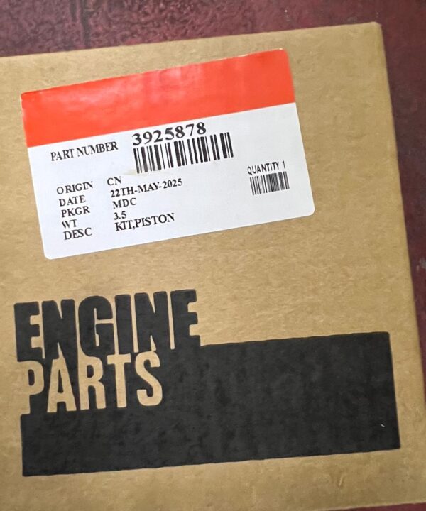 3925878 PISTON+PIN+CLIP 6CT CUMMINS