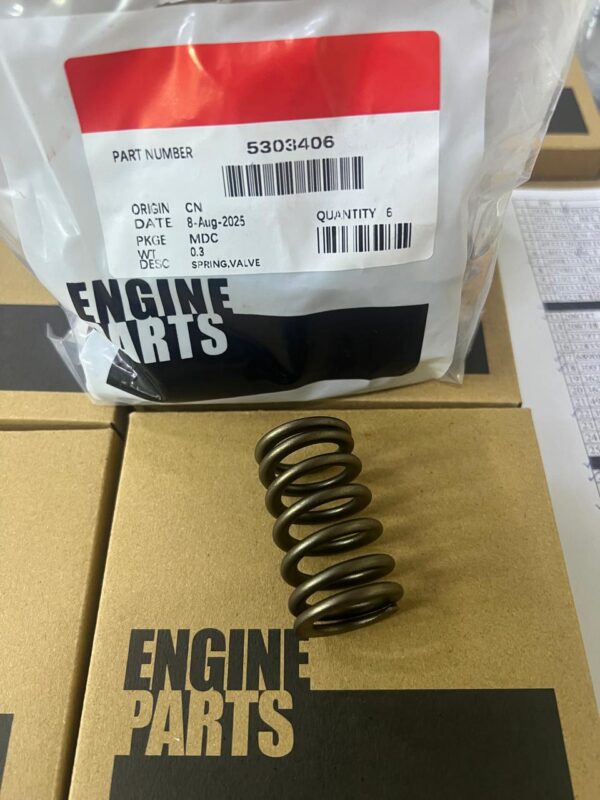 5303406 SPRING VALVE