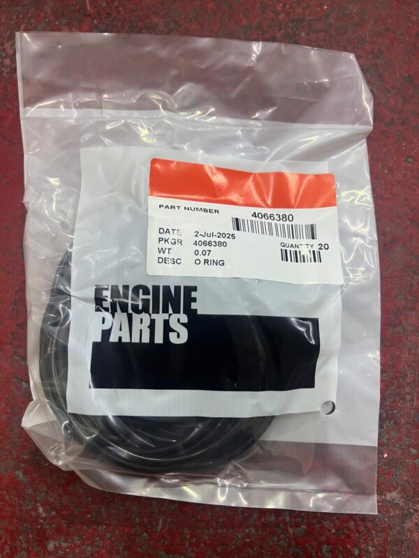 4066380 O RING CUMMINS